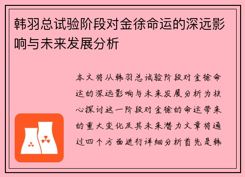 韩羽总试验阶段对金徐命运的深远影响与未来发展分析