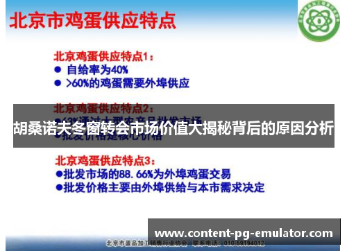 胡桑诺夫冬窗转会市场价值大揭秘背后的原因分析