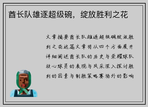 酋长队雄逐超级碗，绽放胜利之花