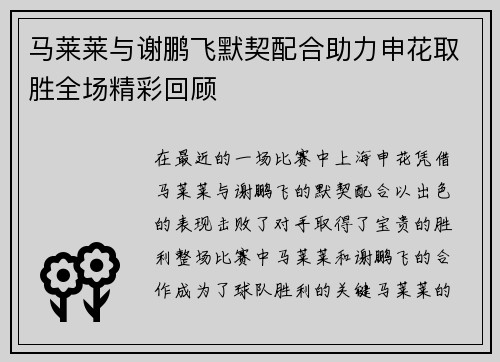 马莱莱与谢鹏飞默契配合助力申花取胜全场精彩回顾